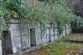 Overgrown tombs Tavistock graveyard