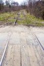 overgrown tracks, Czech Republic Royalty Free Stock Photo