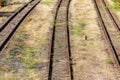 Overgrown tracks with old wooden planks, Loebau, Saxony, Germany Royalty Free Stock Photo