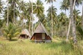 Overgrown tropical bungalows in the jungle on island Koh Kood, Thailand