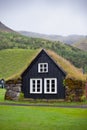 Overgrown Typical Rural Icelandic house at overcast day Royalty Free Stock Photo