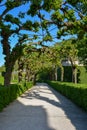 Overgrown walkway in the courtyard garden of the Wuerzburg residence on a sunny day