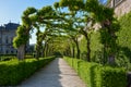 Overgrown walkway in the courtyard garden of the Wuerzburg residence on a sunny day