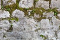 Overgrown wall in old city. Textured masonry overgrown with moss and grass Royalty Free Stock Photo