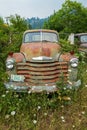 Overgrown weeds surround an antique Chevy truck in a junkyard in Idaho, USA - July 26, 2021 Royalty Free Stock Photo