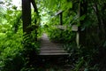 Overgrown wooden bridge Royalty Free Stock Photo