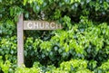 Overgrown wooden signpost for church way with green hedge background Royalty Free Stock Photo