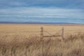 Overgrown yellow pasture grass with vintage cattle fencing in front of a mountain range and clear sky