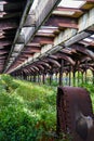 Overgrowth fills abandoned train track station with arched steel ceiling to sky