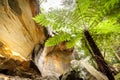 The Overhang Sandstone Cliff Cania Gorge Queensland Australia Royalty Free Stock Photo