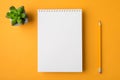 Overhead above close up view photo of clear spiral notebook with pencil and plant isolated bright color yellow desk backdrop