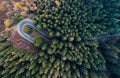 Overhead aerial top view over hairpin turn road bend in countryside autumn pine forest.Fall orange,green,yellow,red tree