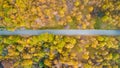Overhead aerial top view over straight road in colorful countryside autumn forest.Fall orange,green,yellow,red tree