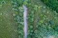 aerial top view of a road in an oak forest on an overcast day Royalty Free Stock Photo
