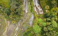 Overhead Aerial View of Tegallalang Rice Terrace. Ubud Bali - Indonesia Royalty Free Stock Photo