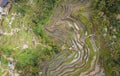 Overhead Aerial View of Tegallalang Rice Terrace. Ubud Bali - Indonesia. Abstract Background Royalty Free Stock Photo