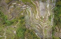 Overhead Aerial View of Tegallalang Rice Terrace. Ubud Bali - Indonesia. Abstract Background Royalty Free Stock Photo