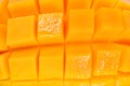 Overhead background texture of colorful orange tropical mango in full frame wide angle view, Mango meat close up, Delicious tropic