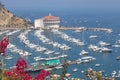 Overhead bay view of Avalon harbor with casino, pleasure pier, sailboats and yachts on Santa Catalina island vacation in Californi Royalty Free Stock Photo