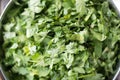 Overhead Closeup of a Bowl of Coriander