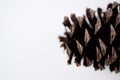 Overhead closeup shot of a pine cone with a blurred white background Royalty Free Stock Photo