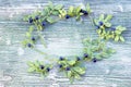 An overhead colored photo of wreath of blueberries with green leaves. Fresh ripe juicy bilberries, bright autumn colorful backgrou