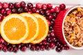 Overhead of cranberry relish with cranberries Royalty Free Stock Photo