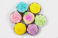 Overhead Cupcakes Cup Cakes With Colorful Icing or Frosting Royalty Free Stock Photo