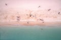 Overhead drone view of Ala Moana Beach Park in Honolulu, Hawaii