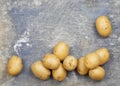 Overhead, flat lay photo of several Yukon Gold potatoes scattered down the left side of a stained and scarred steel background.