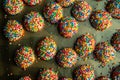 Overhead view of rows of small round cookies covered with colorful sprinkles