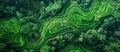Aerial View of Lush Green Forest