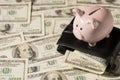 Overhead photo of moneybox pink pig black wallet with money dollars cash inside isolated on the background of dollars