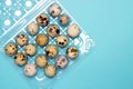 An overhead photo of small quail eggs in the transparent plastic container on the blue background. Royalty Free Stock Photo