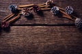 Pine cone and cinnamon sticks on wooden plank Royalty Free Stock Photo