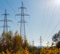 Overhead power lines over autumn trees along the forest clearing Royalty Free Stock Photo