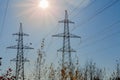 Overhead power lines over bushes against clear sky in backlit Royalty Free Stock Photo