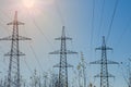 Overhead power lines over bushes against clear sky in backlit Royalty Free Stock Photo