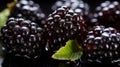 Overhead Shot of Blackberries with visible Water Drops. Close up Royalty Free Stock Photo