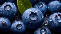 Overhead Shot of Blueberries with visible Water Drops. Close up.
