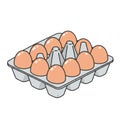 Overhead Shot of Brown Eggs in a Carton on a White Background Studio Shot Royalty Free Stock Photo