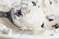 Scoop of Chocolate Chip Cookie Dough Ice Cream Royalty Free Stock Photo