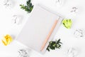 overhead shot of crumpled paper in oder and notebook with green twig among on white background. great idea concept Royalty Free Stock Photo