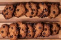 Overhead shot of freshly baked chocolate chip cookies on a wooden board Royalty Free Stock Photo