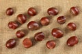Overhead shot - glossy chestnuts on jute cloth