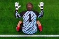 Overhead shot of a goalkeeper on the goal line Royalty Free Stock Photo