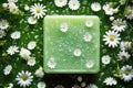 an overhead shot of a green soap bar amidst scattered daisy petals