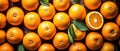 Overhead shot of oranges Royalty Free Stock Photo