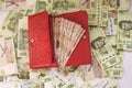 Overhead shot of a red wallet with money on a heap of colorful peso banknotes