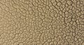 Cracked Earth Texture Royalty Free Stock Photo